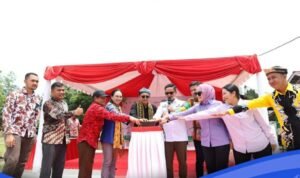Peresmian Listrik Desa Tengku Dacing, Kado Istimewa 2 Tahun Kepemimpinan Ibrahim Ali-Hendrik 